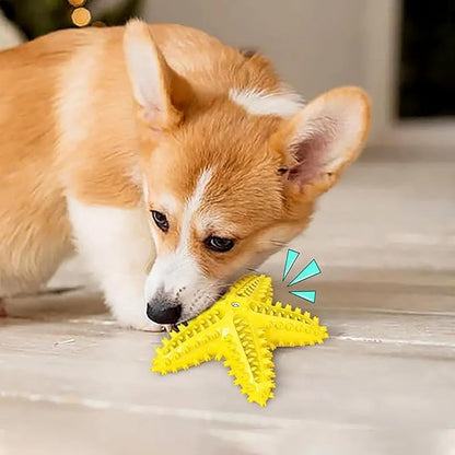 Pupix Chew Toy for Dog Aggressive Chewers Toothbrush Stick Pets Interactive Toys Tough Puppy Chew Treats for Small Medium Dogs Toy to Keep Them Busy, Yellow