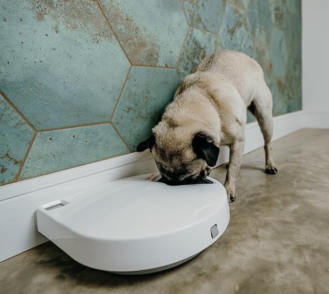Cat Mate C500 Automatic 5 Bowl Digital Timer-Controlled Pet Feeder - for Cats and Small Dogs, Wet or Dry Food, Includes Twin Ice Packs, 5 Meals Up to 0.73 lb Each, White