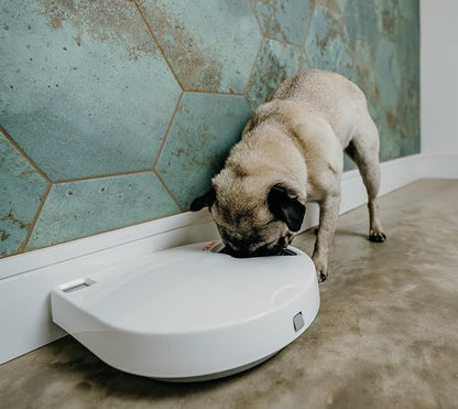 Cat Mate C500 Automatic 5 Bowl Digital Timer-Controlled Pet Feeder - for Cats and Small Dogs, Wet or Dry Food, Includes Twin Ice Packs, 5 Meals Up to 0.73 lb Each, White