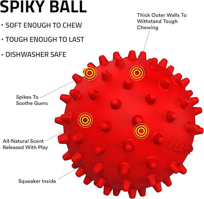 Playology Dog Toys | Spiky Chew Ball for Medium Dogs | Beef Scented Toy for Tough Chewers - Easy to Clean and Made from Non Toxic Materials
