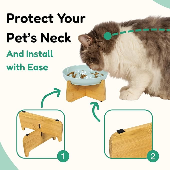 Slow Feeder Cat Bowl with Stand - Unbreakable Elevated Slow Feeder Bowl for Cats - Melamine Puzzle Raised Cat Food Bowl - Whisker Friendly & Wet & Dry Food- Dishwasher Safe & Non Slip (Green