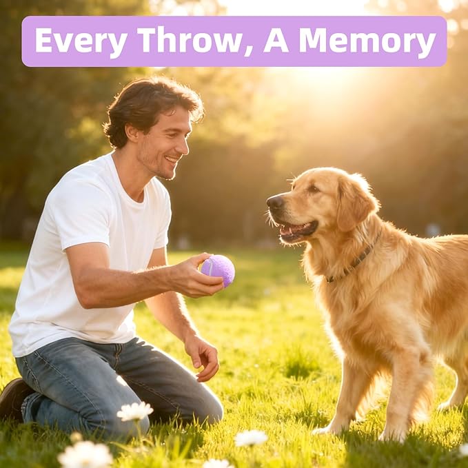 2.5" Dog Tennis Balls 6-Pack Silent Bounce, Tough Rubber Core, Durable Fetch & Training Toys for Indoor/Outdoor Play, for Small Medium Large Dogs (Light Purple, 6 Pack)