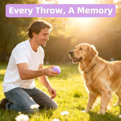 2.5" Dog Tennis Balls 6-Pack Silent Bounce, Tough Rubber Core, Durable Fetch & Training Toys for Indoor/Outdoor Play, for Small Medium Large Dogs (Light Purple, 6 Pack)