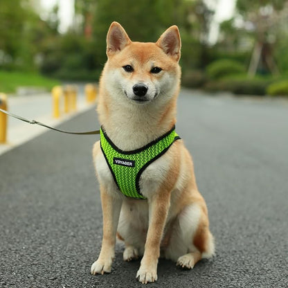 Best Pet Supplies - All Weather Mesh/Plush, Reflective, No Pull Harness for Small, Medium Dogs, Cats - Secure with Hook & Loop Fastener, Buckle, Double D-Rings - Lime Green 2-Tone, XS
