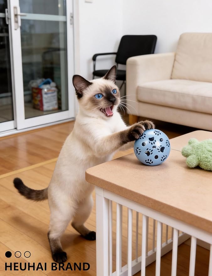 10-Pack Cat Toys Indoor Bored Kitten, Plastic Lattice Jingle Balls, 10 Styles Colorful Interactive Balls for Kitties (1.5'' - 2.1'')
