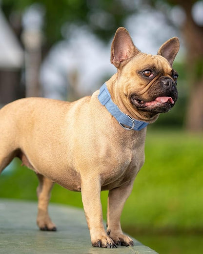 Dynmeow Soft and Breathable Cotton Dog Collar, Durable Adjustable Boy Pet Collar with Quick-Release Buckle, Lightweight for Sensitive Skin for Small and Medium Dogs, Light-Blue, S