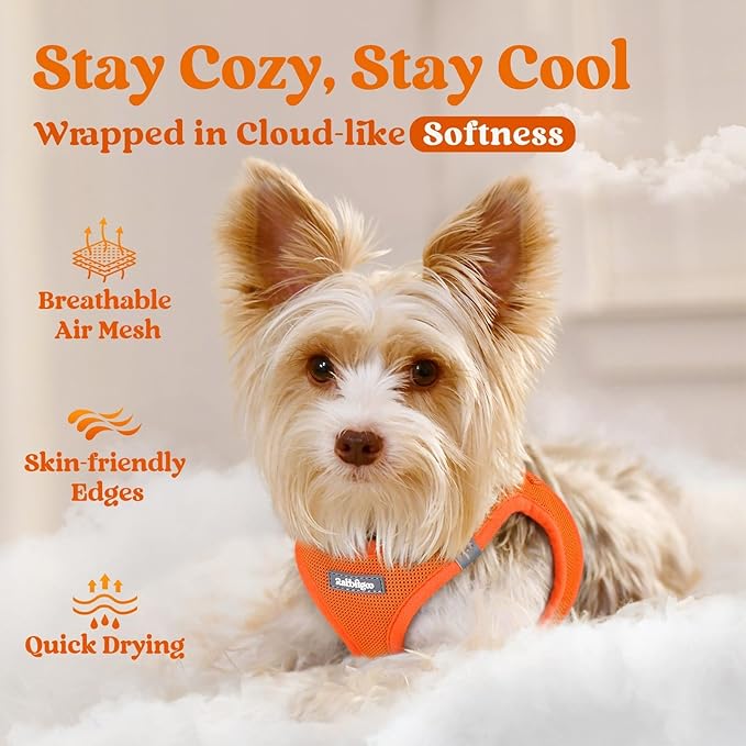 rabbitgoo Small Dog Harness, Step-in Soft Mesh Puppy Vest with Safety Buckle, Breathable Reflective Pet Harness for Small Sized Dogs, Orange M