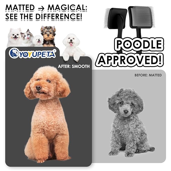 Large Slicker Brush for Dogs - Long Pin Deshedding Brush for Mats & Shedding on Long Haired Dogs, Doodles, Poodles, Goldendoodle, Labradoodle, 3pc Grooming Kits with Wooden Handle, Black