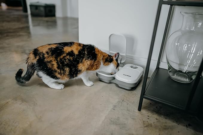 Cat Mate C200 Automatic 2 Meal Timer-Controlled Pet Feeder (401) - for Cats and Small Dogs, Includes Ice Pack for Wet and Dry Food, Meals up to 14 oz Each, White