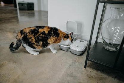 Cat Mate C200 Automatic 2 Meal Timer-Controlled Pet Feeder (401) - for Cats and Small Dogs, Includes Ice Pack for Wet and Dry Food, Meals up to 14 oz Each, White