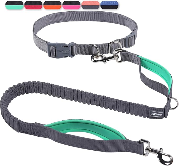 VIVAGLORY Hands Free Dog Leash Bungeeone Running Dog Leash with Waist Belt for Running Walking & Jogging, Bungee & Around Waist for Pet, M, Grey/Turquoise