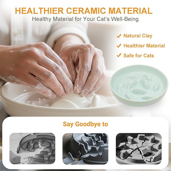 Anti-Bloat Ceramic Slow Feeder Bowl - Fish Pool Design Interactive Puzzle Feeder for Cats & Small Dogs, Food-Safe Porcelain Healthy Eating Dish (Green-Ceramic)