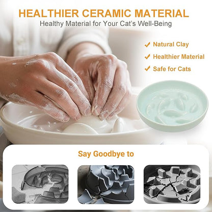 Anti-Bloat Ceramic Slow Feeder Bowl - Fish Pool Design Interactive Puzzle Feeder for Cats & Small Dogs, Food-Safe Porcelain Healthy Eating Dish (Green-Ceramic)