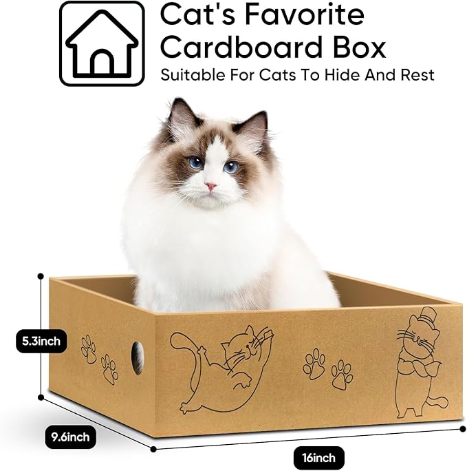 AGYM Cat Scratcher, 5 Packs in 1 Cardboard Box Cat Scratching Pad for Indoor Cats and Kitten, Cat Scratch Pad to Protect Furniture, Large Size