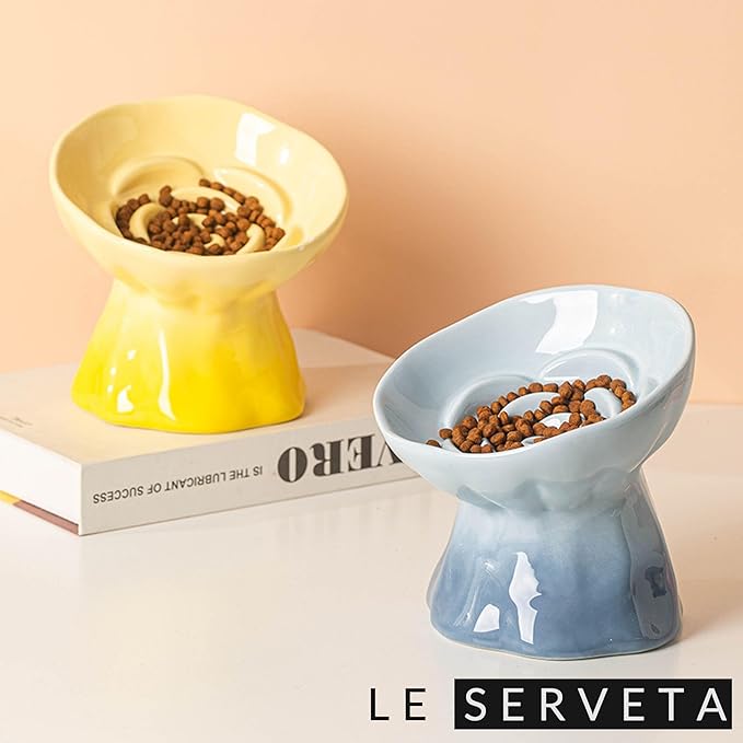 Elevated Ceramic Cat Bowl, Tilted Slow Feeder Pet Dish with Gradient Color Coating, 3.3 Ounces Capacity, Anti-Gulping Design with Rose Bouquet Design (Gradient Yellow)