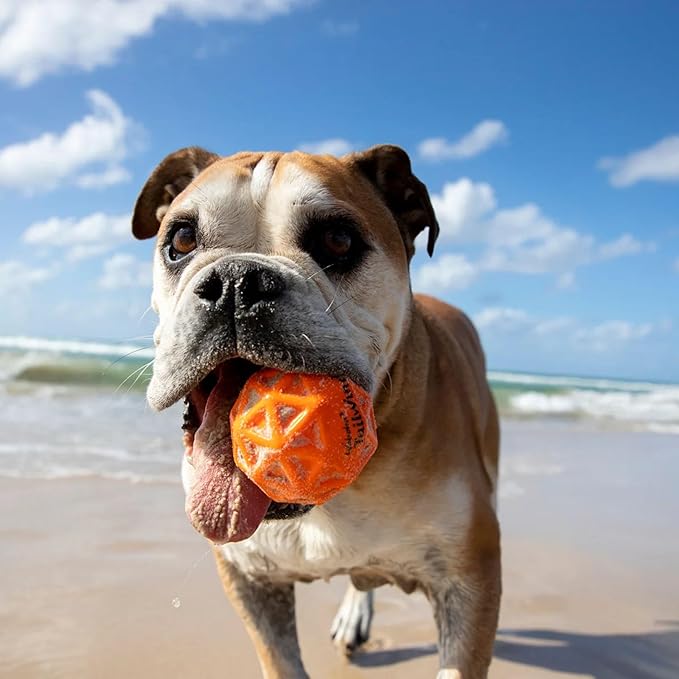 Waboba Woofgames Pet Dog Toys Set - Interactive Boredom Relief Toy Bundle with Rubber Flying Disk & Dog Balls, Throw & Fetch Toys for Puppies & Dogs - Multipack of 3 Toys