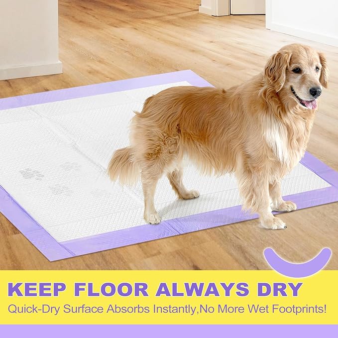 MIZOK Puppy Pads 28x34in Lavender Scented, Dog Pee Pads Extra Large Odor Eliminating Ultra Absorbent Up to 8 Cups, 6 Layers Leak-Proof & Quick-Dry Purple (40 Counts)