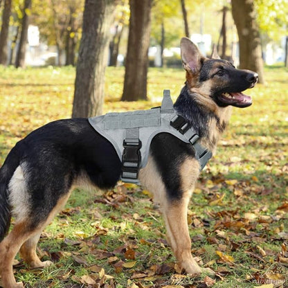 rabbitgoo Tactical Dog Harness Medium Sized, Heavy Duty Pet Harness with Handle, No-Pull Service Vest Medium Breed, Adjustable Military Dog Vest for Training Hunting Walking, Grey, M