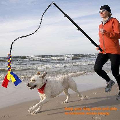 Flirt Pole for Dogs Heavy Duty,Dog Teaser Pole for Small Medium & Large Dogs,Interactive Outdoor Dog Toy with Replaceable Nylon Rope,Perfect for Jumping, Chasing,Tugging, Training & Play