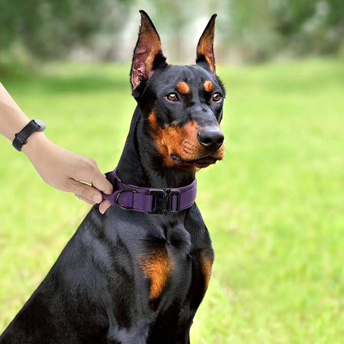 Tactical Dog Collar, Adjustable Military Training Nylon Dog Collar with Control Handle and Heavy Quick-Release Metal Buckle for Small Medium Large Dogs, Purple XXL
