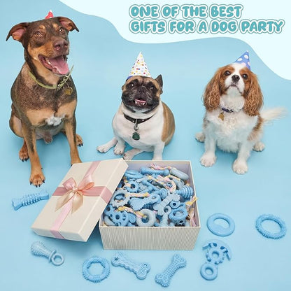 Shappy 40 Pcs Dog Chew Toys for Puppy Dog Toy Bulk Small Dogs Chew Toy for Teething, Relieves Teething Anxiety, Soft & Durable Interactive Toys for Outdoor Play Accessories, Not for Heavy Chewer(Blue)