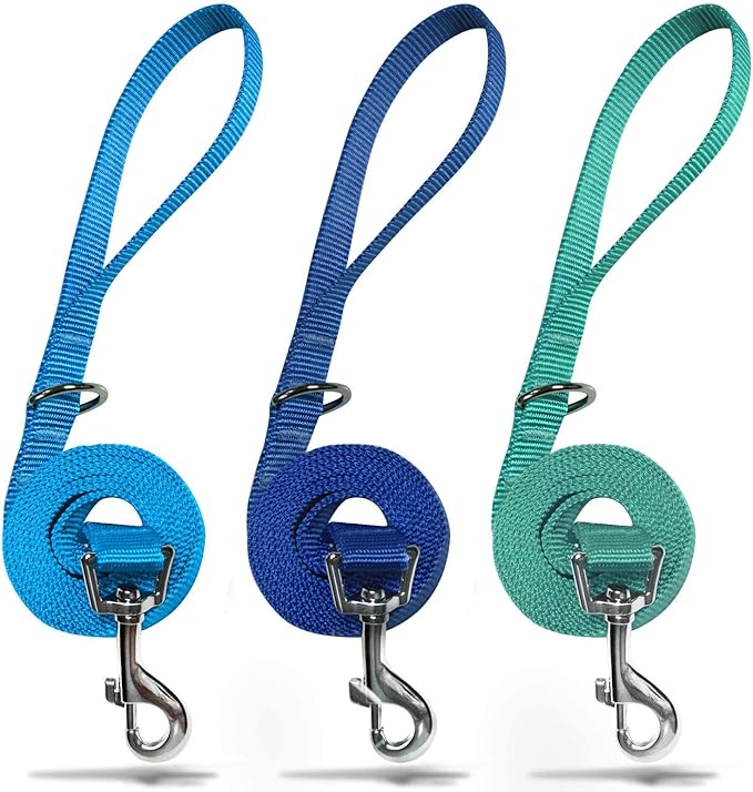 azuza 3 Pack Nylon Dog Leashes,Strong & Durable Basic Style Leash with Easy to Use Collar Hook,Available in Multiple Lengths for Medium Dogs, Royal Blue/Blue/Green