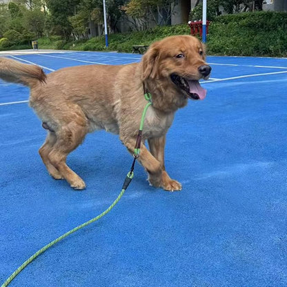 MayPaw Heavy Duty Rope Dog Leash, 3/4/5/6/7/8/10/12/15 FT Nylon Pet Leash, Soft Padded Handle Thick Lead Leashes for Large Medium Dogs (Green Black, 1/2" * 8')
