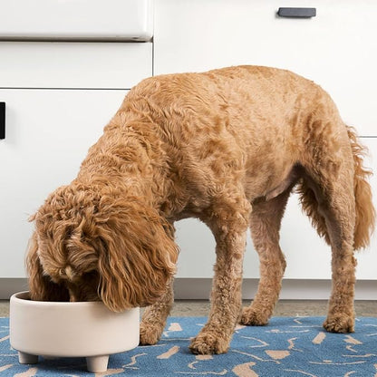 Waggo Uplift Ceramic Dog Bowl for Small Medium and Large Breeds - Heavyweight and Durable Pet Food and Water Dish Crock, Dishwasher Safe, Modern, Elevated Feeder (Clay, Medium)