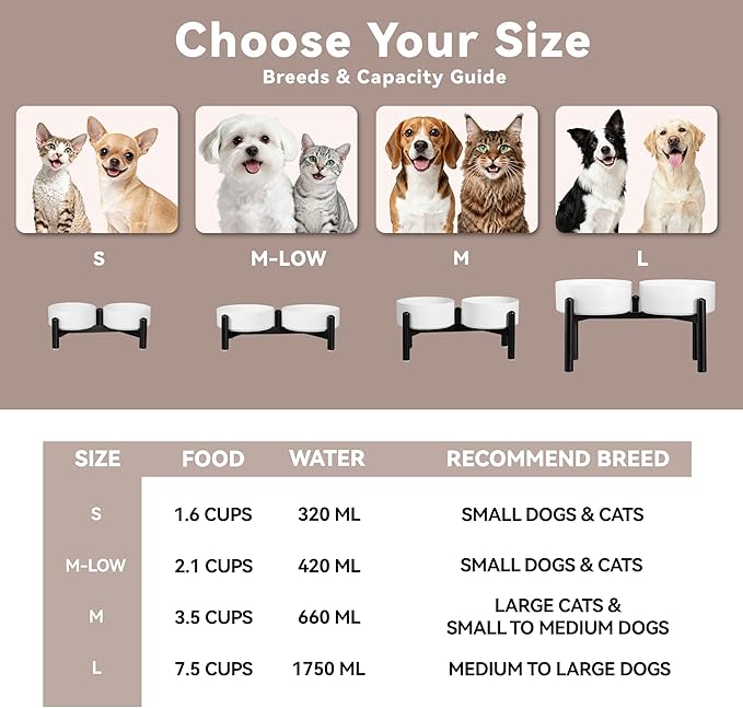 Dog Bowls Elevated - Ceramic Raised Dog Bowl with Non Slip Steel Stainless Stand - No Spill and Heated Feeding Station - Food and Water Dish Set for Medium to Large Pet - Each Holds 7.5 Cups – Green