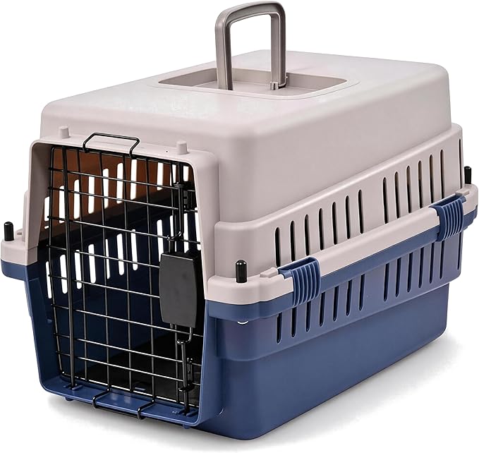Hard-Sided Pet Carrier for Cats and Small Dogs, 20" Sturdy Travel Kennel with Secure Wire Door & 360° Ventilation, Portable Plastic Crate for Vet Visits & Car Travel (Blue/Grey)