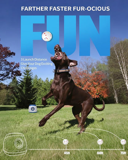 Automatic Ball Thrower for Dogs, Ball Launcher for Dogs - 2.5" Dog Balls * 6Pack (Blue)