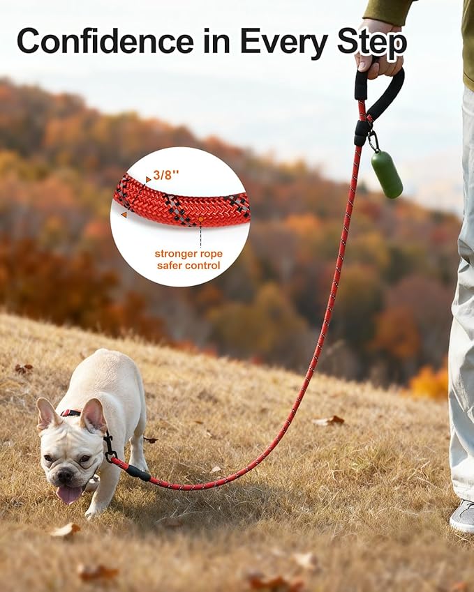 Joytale Dog Leash for Small Dogs, Heavy Duty Nylon Leashes with Comfortable Padded Handle and Highly Reflective Threads, Ideal for Walking and Training, Red, 5'×3/8''
