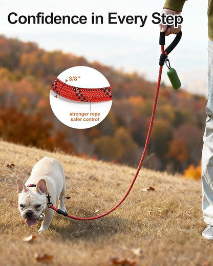 Joytale Dog Leash for Small Dogs, Heavy Duty Nylon Leashes with Comfortable Padded Handle and Highly Reflective Threads, Ideal for Walking and Training, Red, 5'×3/8''