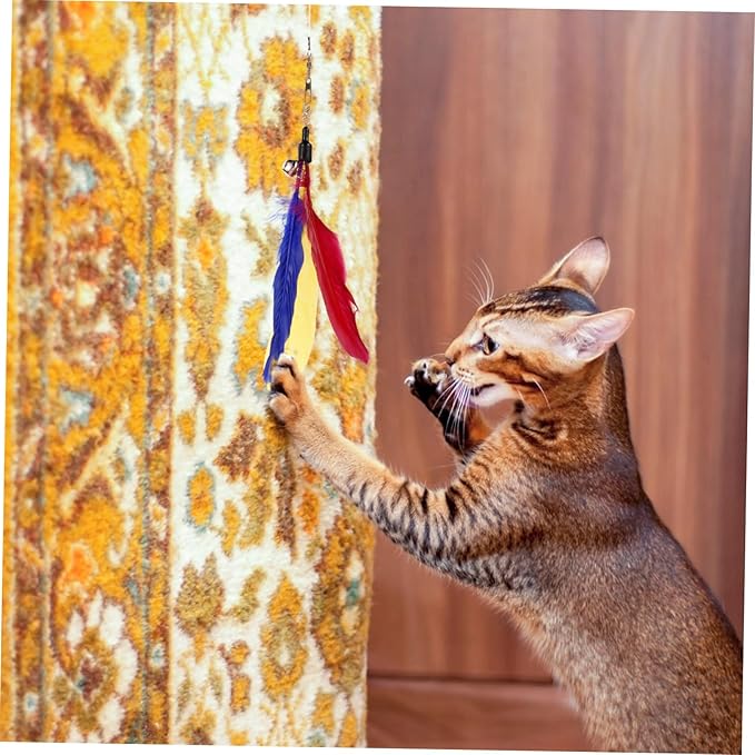 Long Kitten Teaser Home Cat Set Cat Teasing and Feather Teaser Stick Random