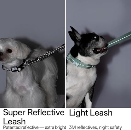 Hands Free Dog Leash Adjustable Versatile Crossbody Waist Dog Leash Reflective Comfortable Padded Handles Shock Absorbing Walking Lead for Small Medium Large Dogs (Super Reflect-Earth, S)