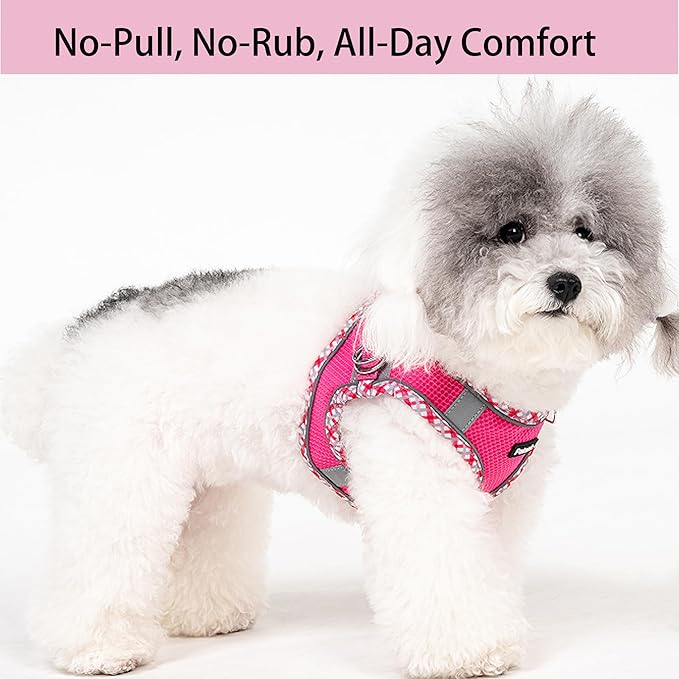 Petank Dog Harness for Small Medium Dogs No Pull, Puppy Harness and Leash Set for Walking, Running, Training, Small Dog Harness, Medium Dog Harness (Rose Red, XXS)