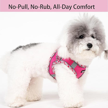 Petank Dog Harness for Small Medium Dogs No Pull, Puppy Harness and Leash Set for Walking, Running, Training, Small Dog Harness, Medium Dog Harness (Rose Red, XS)