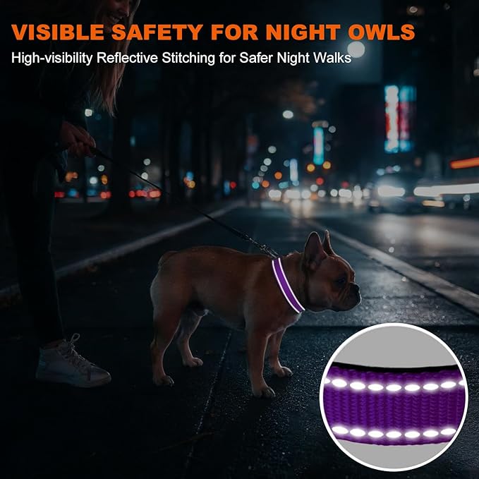 Taglory Reflective Dog Collar with Safety Locking Buckle, Soft Neoprene Padded Dog Collar for Medium Dogs, Metal D-Ring, Adjustable Nylon Neck Strap for Daily Walking, Training & Running, Purple, M