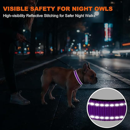Taglory Reflective Dog Collar with Safety Locking Buckle, Soft Neoprene Padded Dog Collar for Small Dogs, Metal D-Ring, Adjustable Nylon Neck Strap for Daily Walking, Training & Running, Purple, S
