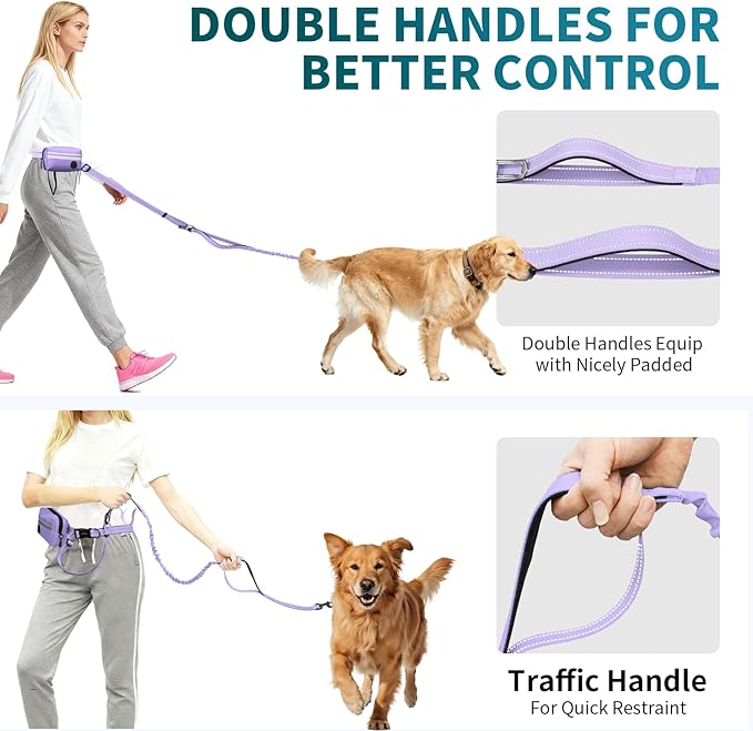 Hands Free Dog Leash with Removable Zipper Pouch, Dual Padded Handles and Durable Bungee for Walking, Jogging and Running-Your Dog (Large, 35-140 lbs Purple