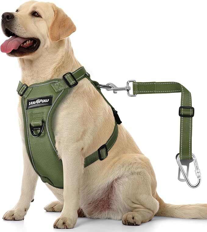 VavoPaw Dog Seat Belt Harness for Car, Dog Car Harness Adjustable Mesh Breathable & Dogs Seatbelt Safety Tether with Elastic Bungee for Small Medium Large Pets(Army Green, L)