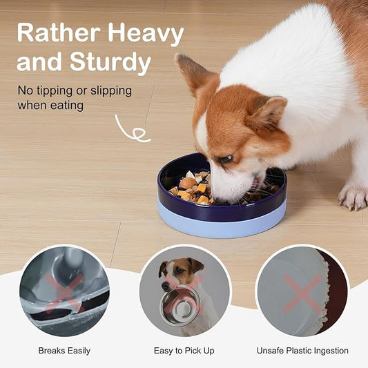 Sted Ceramic Slow Feeder Dog Bowls with Silicone Base, Slow Feeding Dog Bowl Small Medium Breed, Dogs Food Bowls for Fast Eaters, Puzzle Dogs Food Bowl, Maze Blue