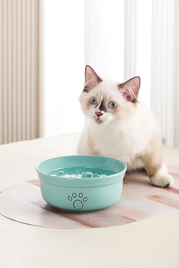 Ceramic Dog Bowls, Pet Feeding Bowls for Cats and Small Dogs 20 oz (6", Blue/Pink/White)
