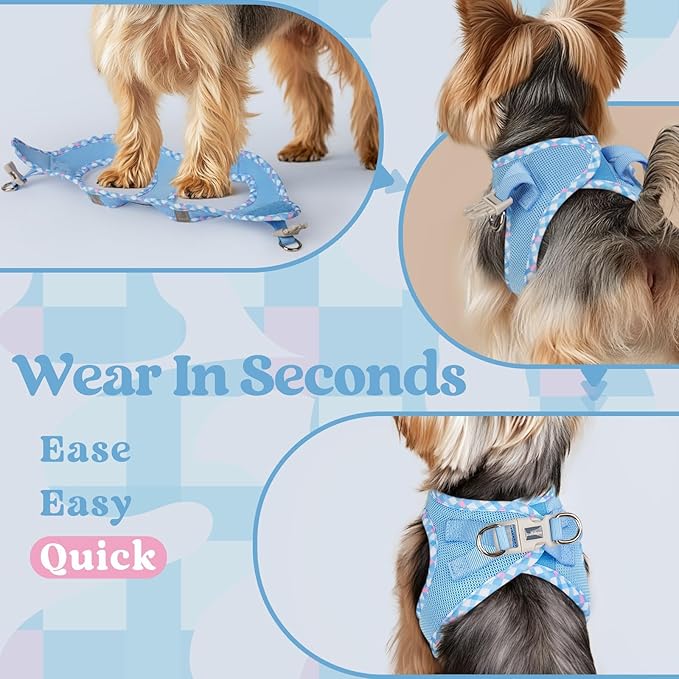 rabbitgoo Small Dog Harness, Step-in Soft Mesh Puppy Vest with Safety Buckle, Breathable Reflective Pet Harness for Small Sized Dogs, Blue & Plaid Trim S