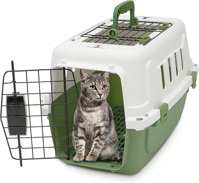 18 Inch Hard-Sided Plastic Dog Carrier 2 Door Travel Crate for Small Dogs Cats up to 10 lbs, Durable Handle, Security Lock Design, Green