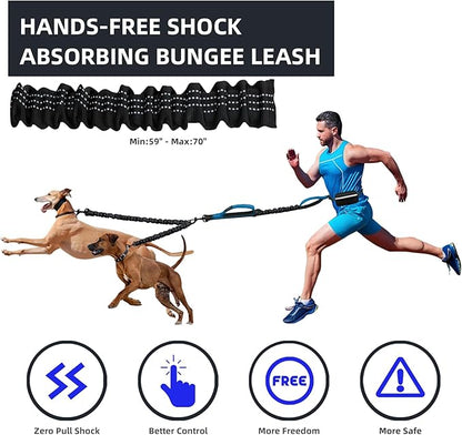 Hands Free 2 Dog Running Leash with Waist Belt, Dual Handle Elastic Bungees Retractable Rope for Small and Medium Dogs, Reflective Stitches for Walking Hiking Biking (Small Blue, 8-25lb)