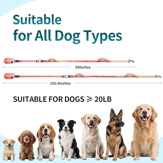 Hands Free Dog Leash with Removable Zipper Pouch, Dual Padded Handles and Durable Bungee for Walking, Jogging and Running Your Dog (Large, 35-140 lbs-Orange