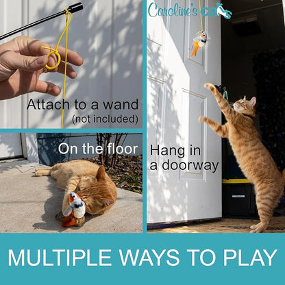 Caroline's Cats Plush Chirping Bird Cat Toy on Elastic String with Doorway Hanger - No Flimsy Suction Cups; Real Electronic Avian Sounds