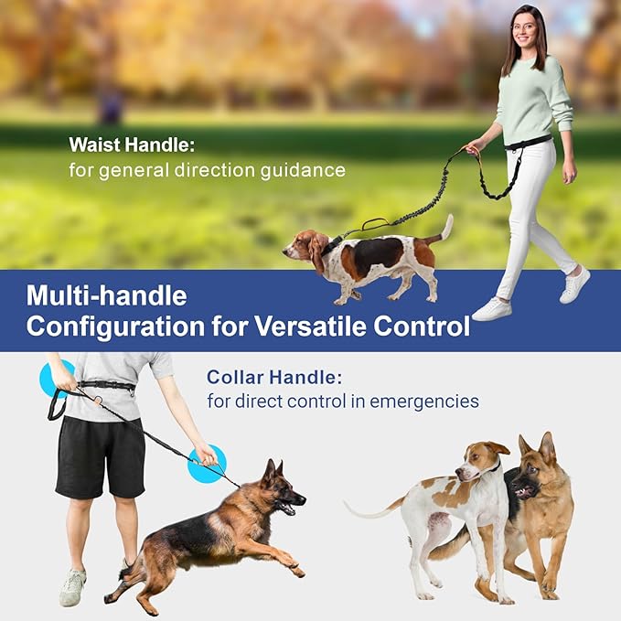 Hands Free Dog Leash - Dog Collar with Adjustable Waist Belt, 2 Bungees Shock Absorbing, Dual Handles for Walking Running Jogging, Reflective Knitted