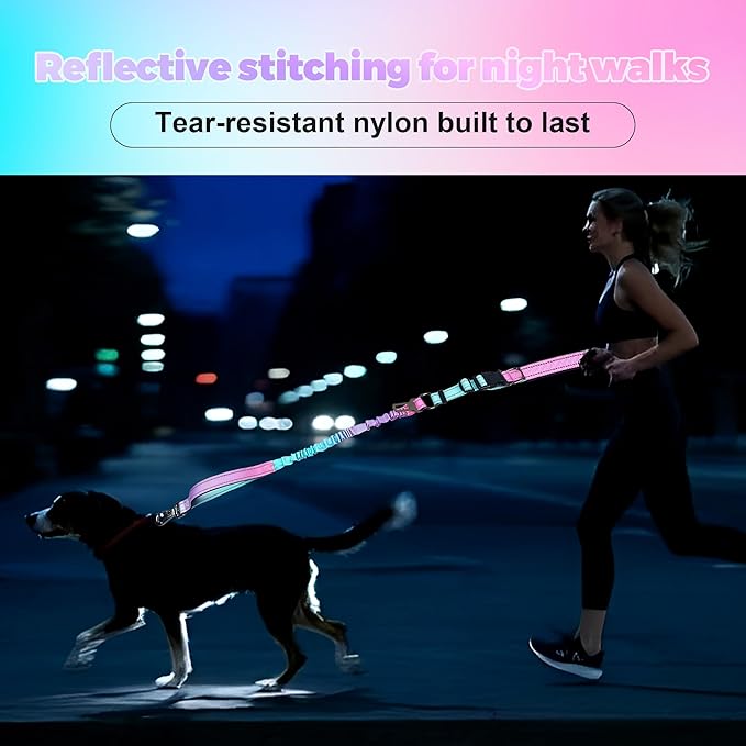 Hands Free Dog Leash for Large Medium Dogs – Bungee No Pull Running Leash with Dual Padded Handles, Reflective Nylon, Adjustable Waist Belt, Seatbelt Clip for Walking, Jogging, Hiking (BluePink)